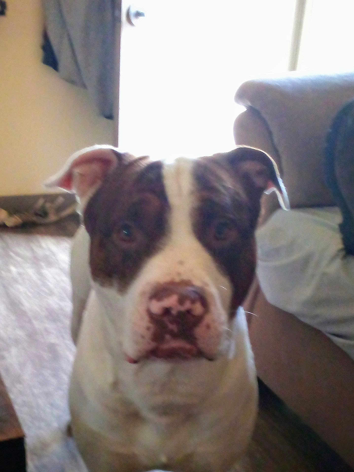 Kilo