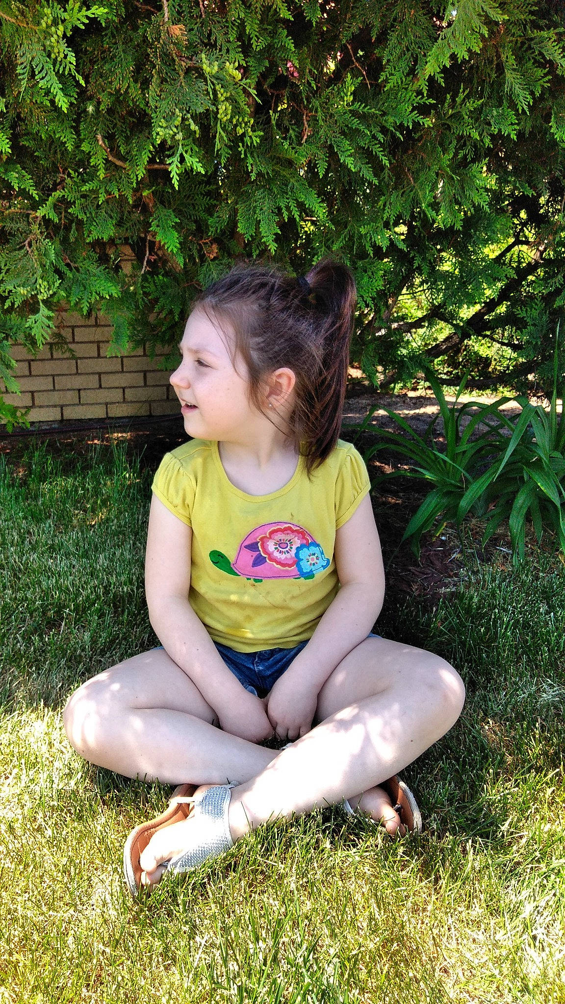 Ríleigh is registered to the contest to win money with this photo: botany, child, fawn, fun, garden, grass, grass_family, green, happy, lawn, leg, people, person, plant, play, sitting, smile, summer, toddler, tree