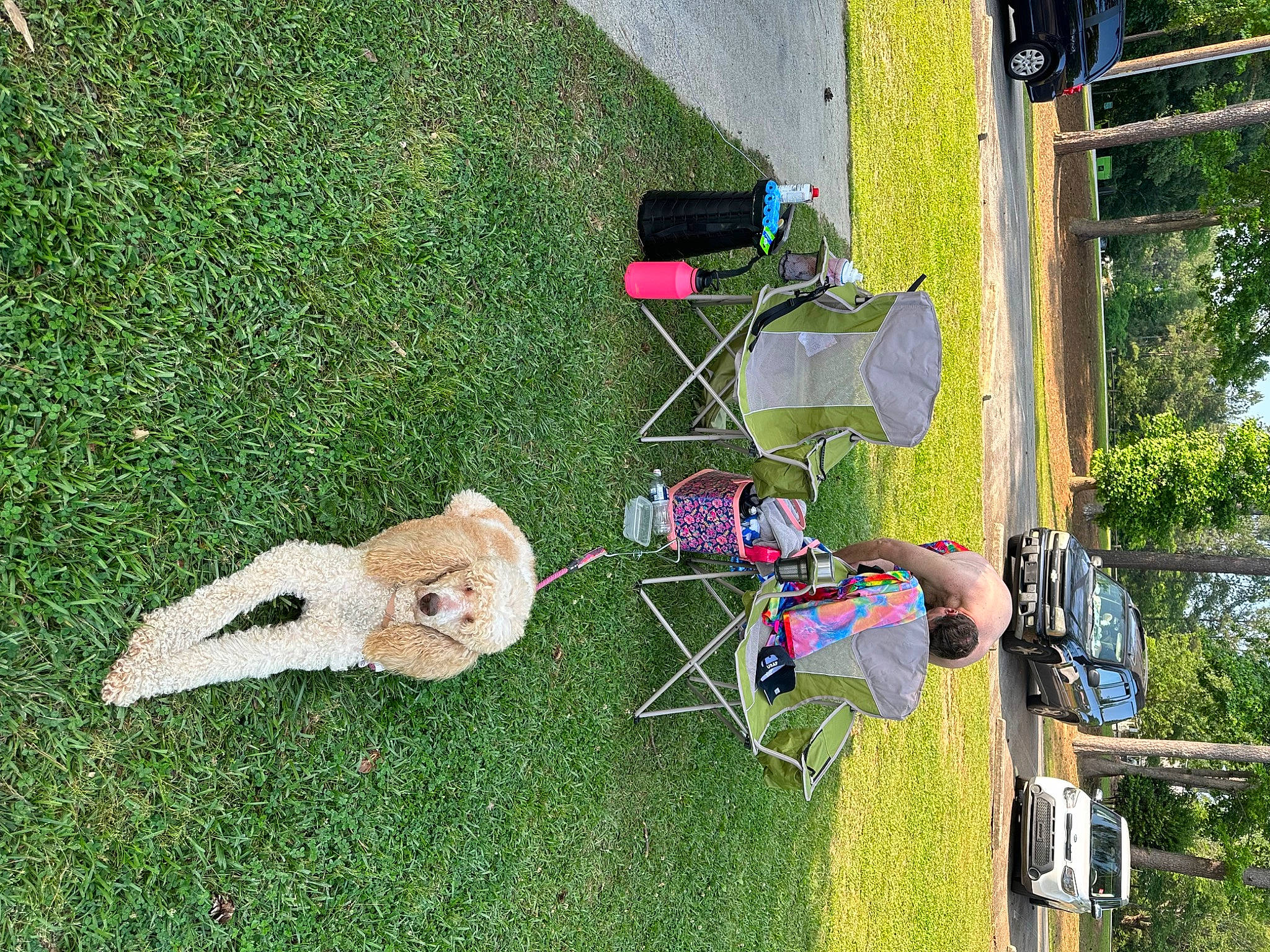 Cayley joined the competition — help win amazing prizes! art, backyard, car, fun, garden, grass, landscape, landscaping, lawn, leisure, outdoor_furniture, outdoor_recreation, plant, recreation, tire, toy, tree, vehicle, wheel, yard