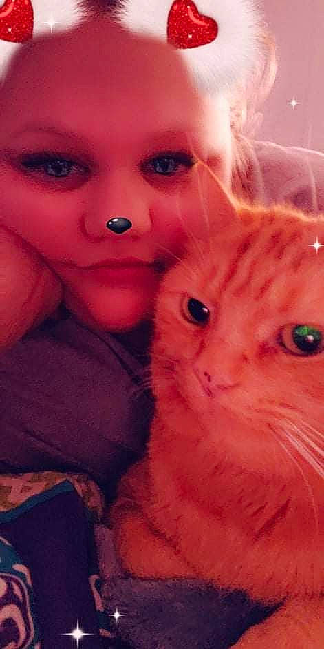 Butter joined the competition — help win amazing prizes! beard, carnivore, cat, cheek, child, eyelash, fawn, felidae, fur, gesture, happy, iris, nose, peach, pink, small_to_medium_sized_cats, snout, tail, toy, whiskers