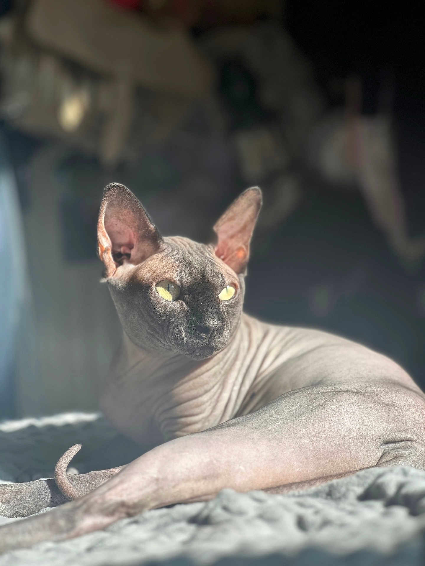 Miky