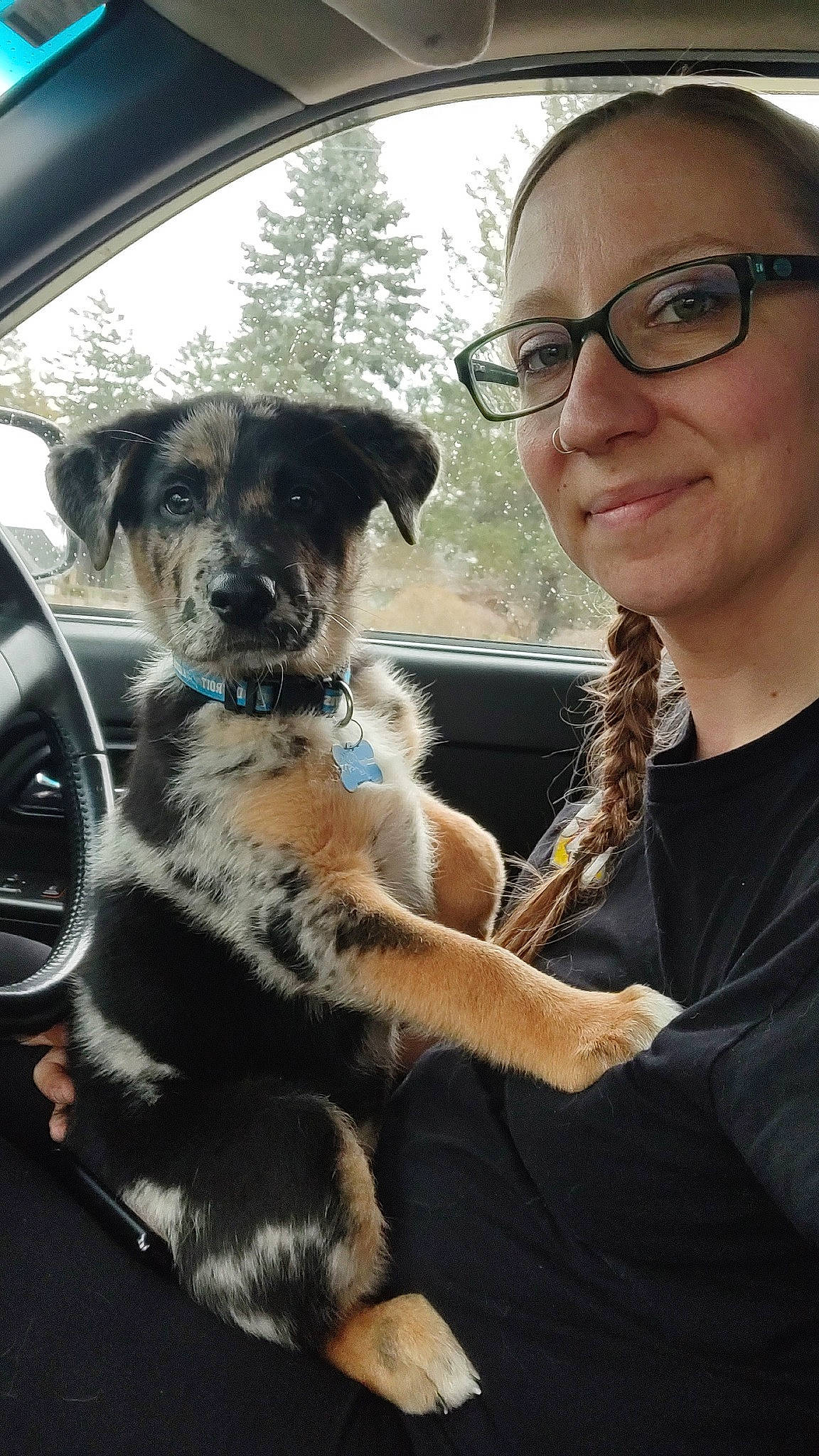 Hutchinson is registered to the contest to win money with this photo: auto_part, canidae, carnivore, companion_dog, dog, dog_breed, eyewear, family_car, fawn, fur, glasses, plant, smile, snout, sporting_group, vehicle_door, vision_care, window, windshield, working_dog