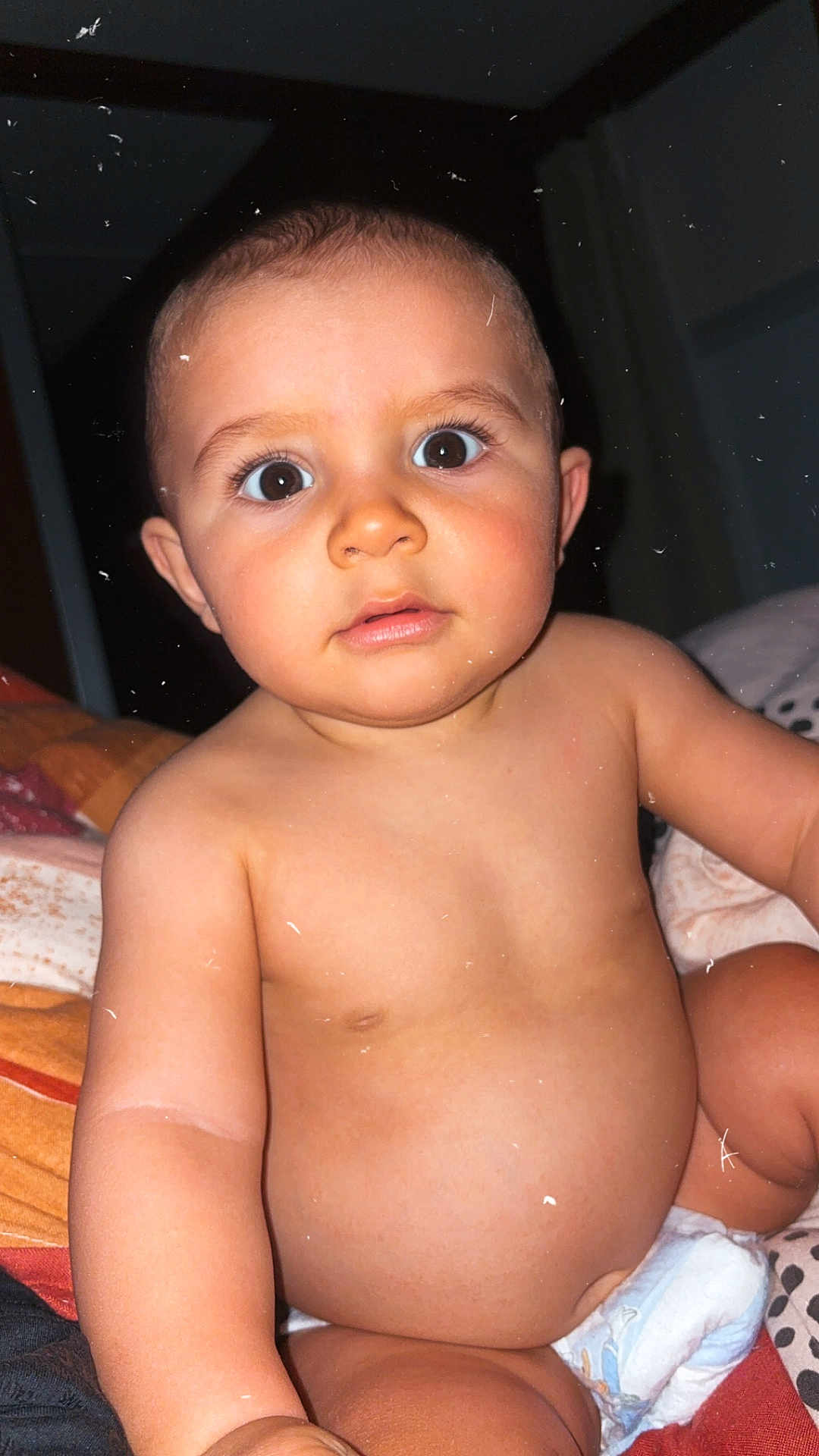 Fayver a rejoint le concours — aidez-le/la à gagner de superbes lots ! baby, bed, blanket, child, chubby, closeup, curious, cute, diaper, expression, eyes, face, human, indoor, infant, person, portrait, sitting, skin, young