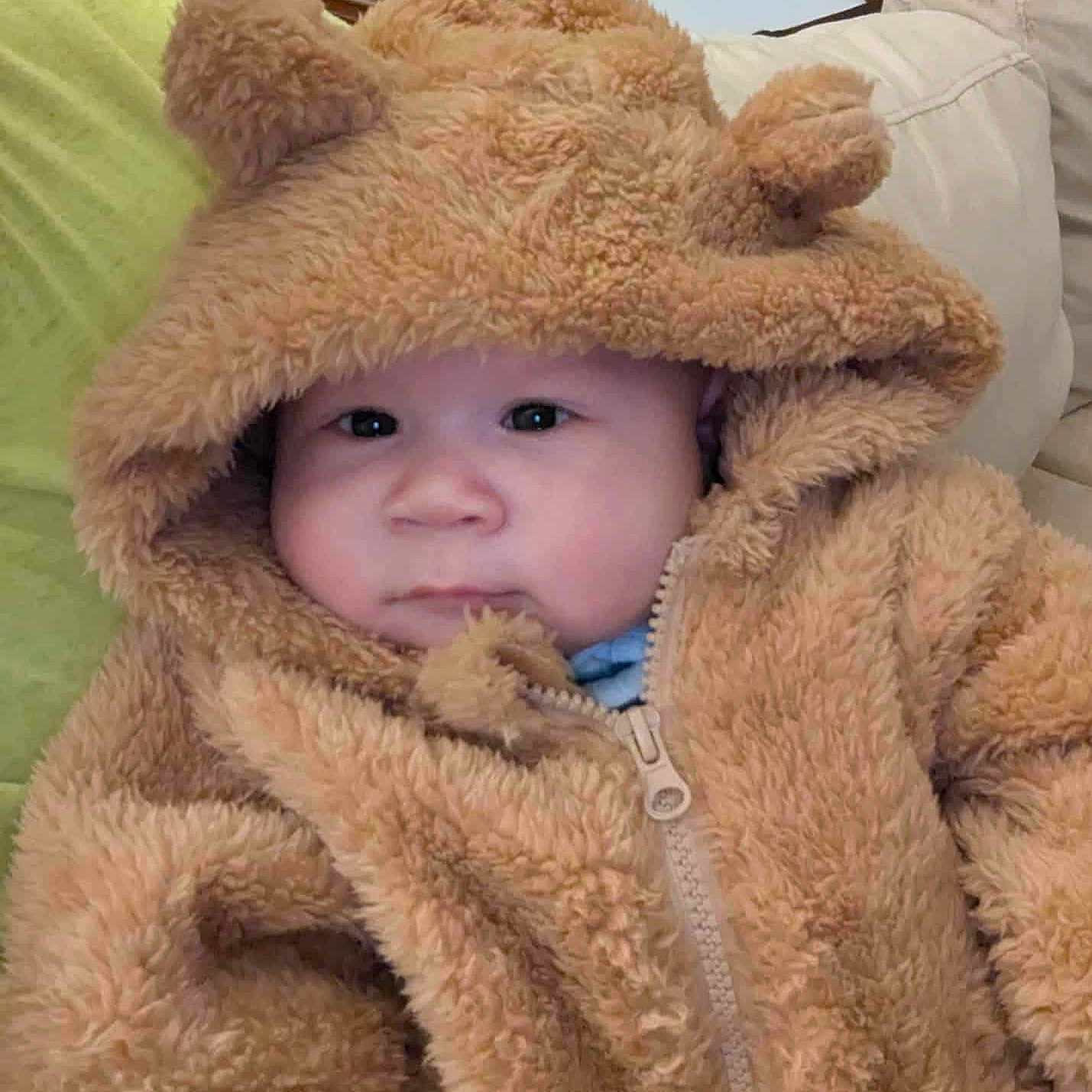 Zachary Alexander is registered to the contest to win money with this photo: animal, blanket, bonnet, clothing, coat, cushion, face, hat, head, hood, hoodie, jacket, knitwear, lion, person, photography, portrait, quilt, sweater, sweatshirt