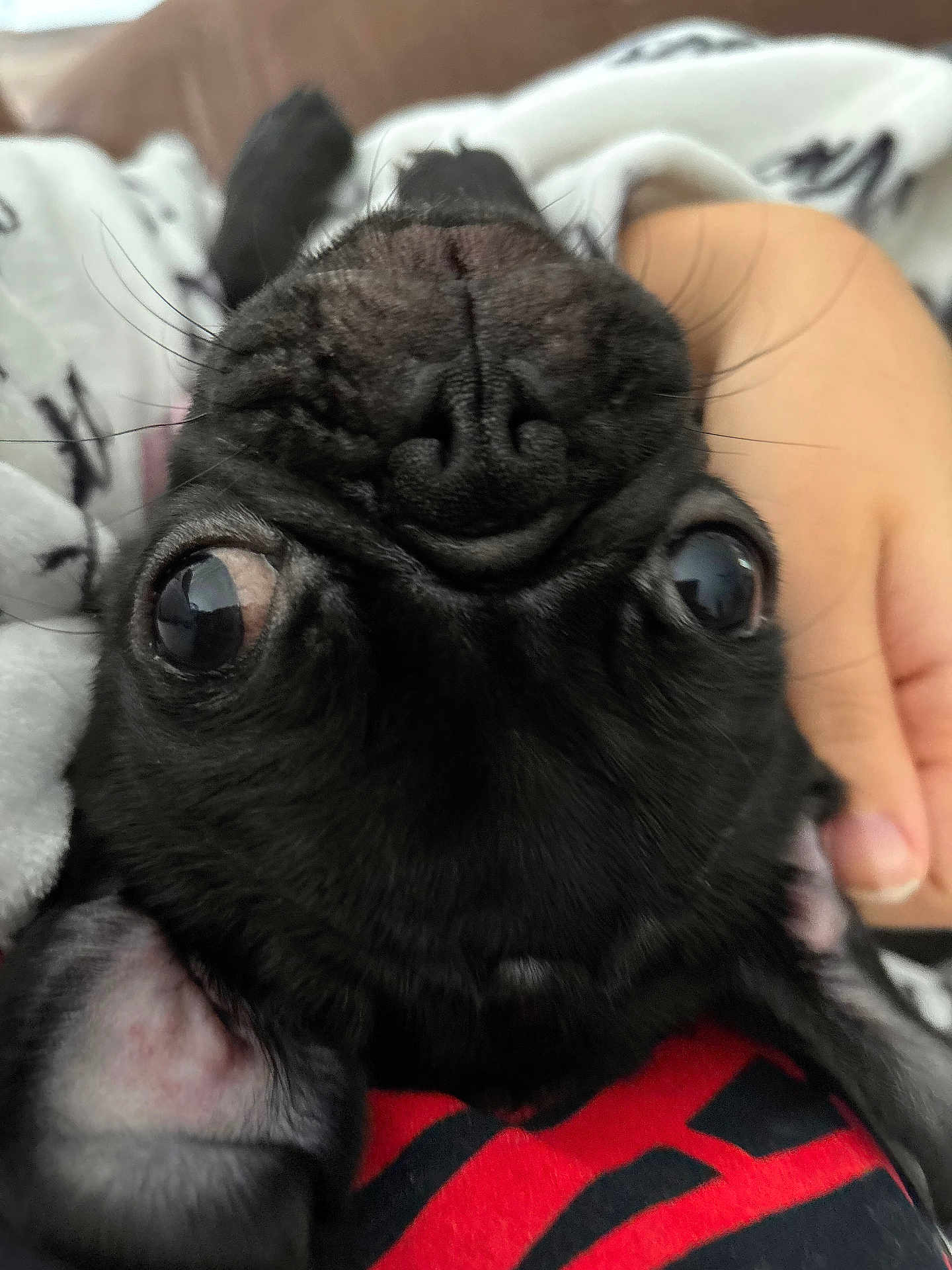 Tilly