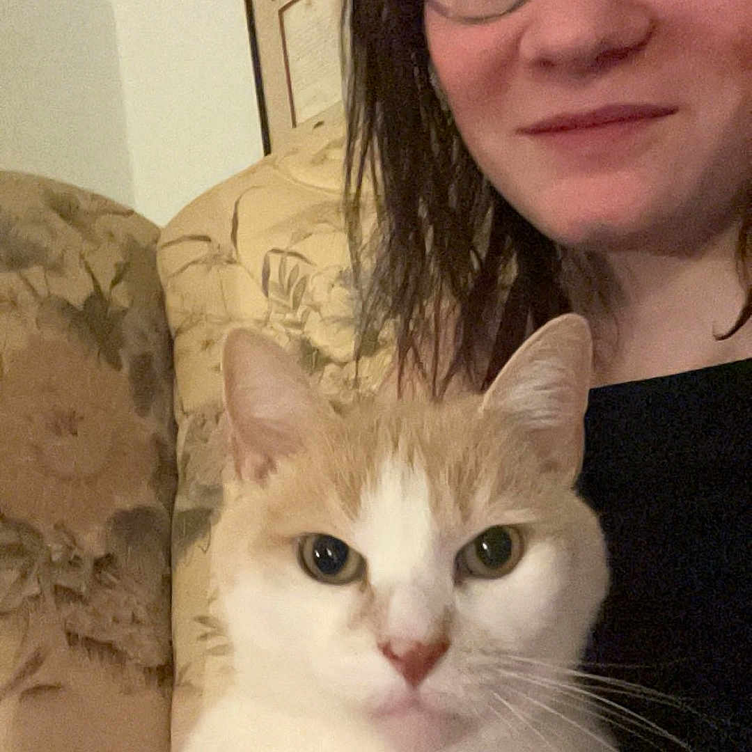 Jerico joined the competition — help win amazing prizes! animal, brown_hair, casual, cat, closeup, comfort, couch, face, feline, floral_pattern, glasses, hand, home, indoor, person, pet, portrait, relaxed, seated, woman
