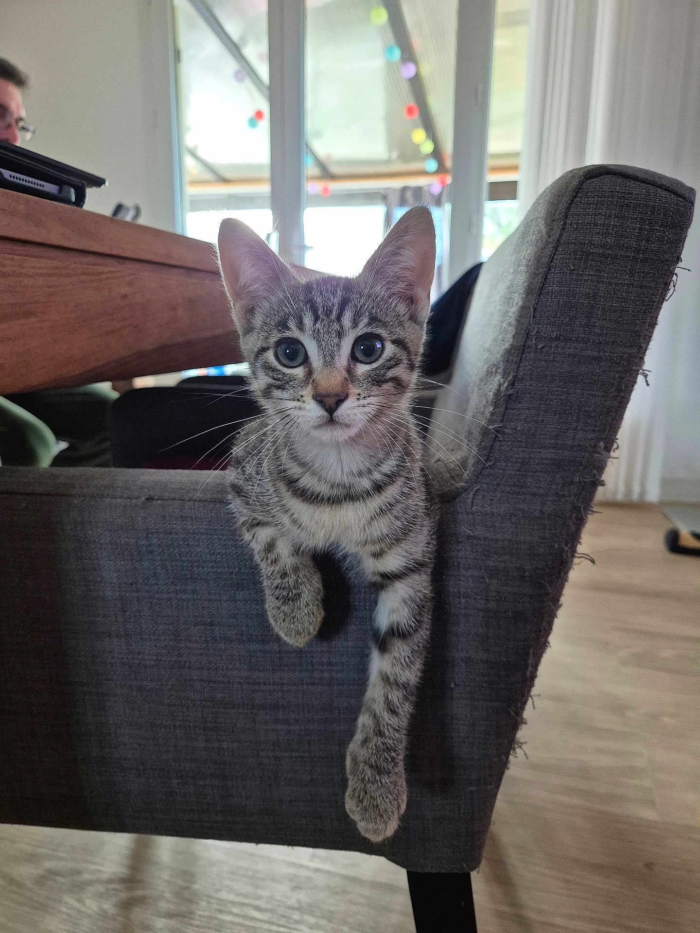 Athena