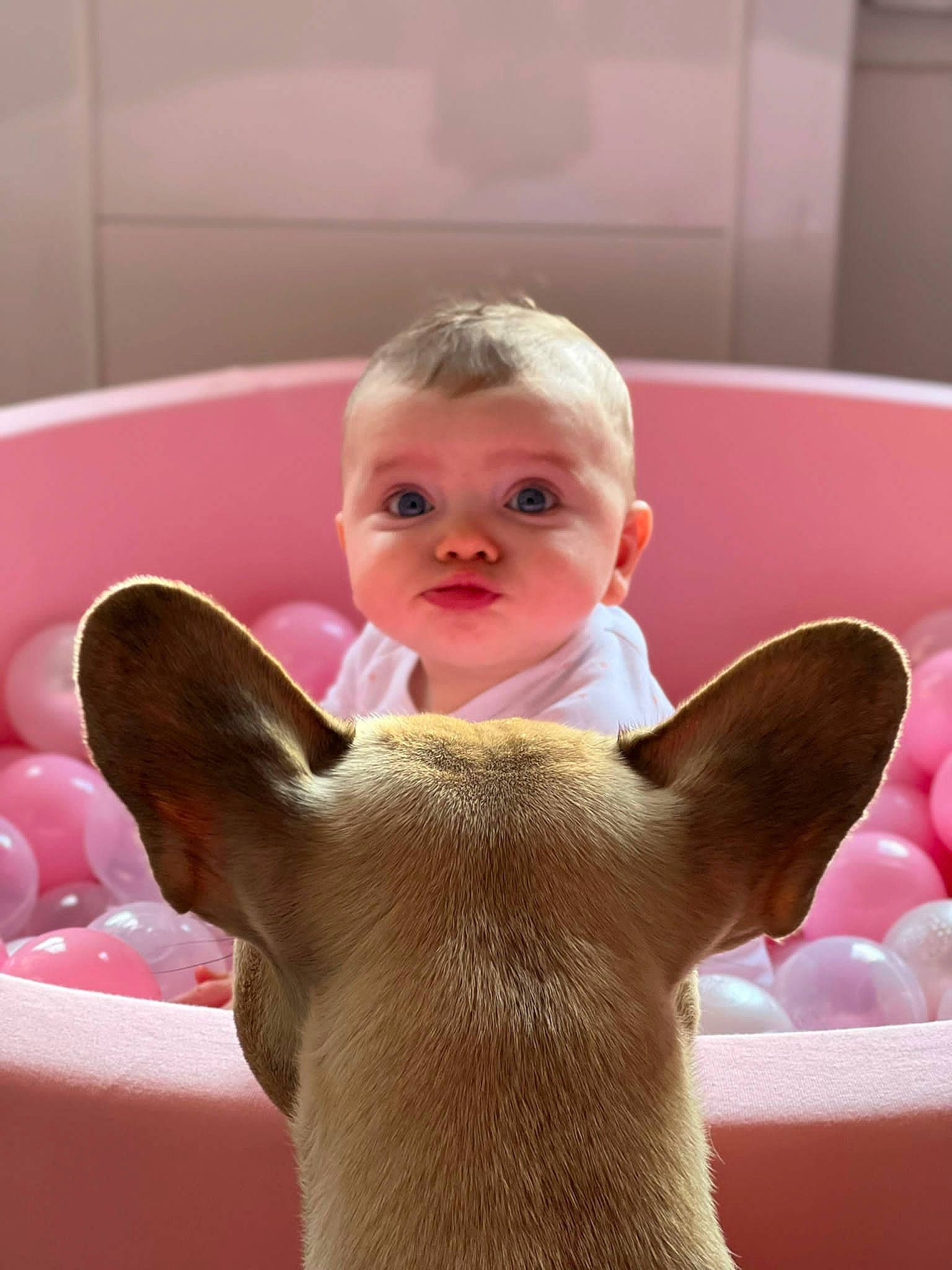 Romy a rejoint le concours — aidez-le/la à gagner de superbes lots ! baby, comfort, ear, fawn, flooring, gesture, hand, happy, head, human_body, lip, mouth, nail, neck, nose, person, pink, skin, snout, thumb