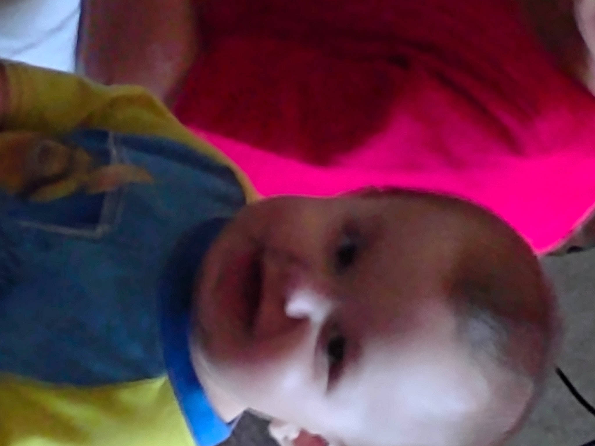 Danny joined the competition — help win amazing prizes! baby, baby_toddler_clothing, cheek, chin, ear, eye, eyebrow, forehead, happy, head, human_body, iris, lip, mouth, nose, person, purple, skin, smile, textile