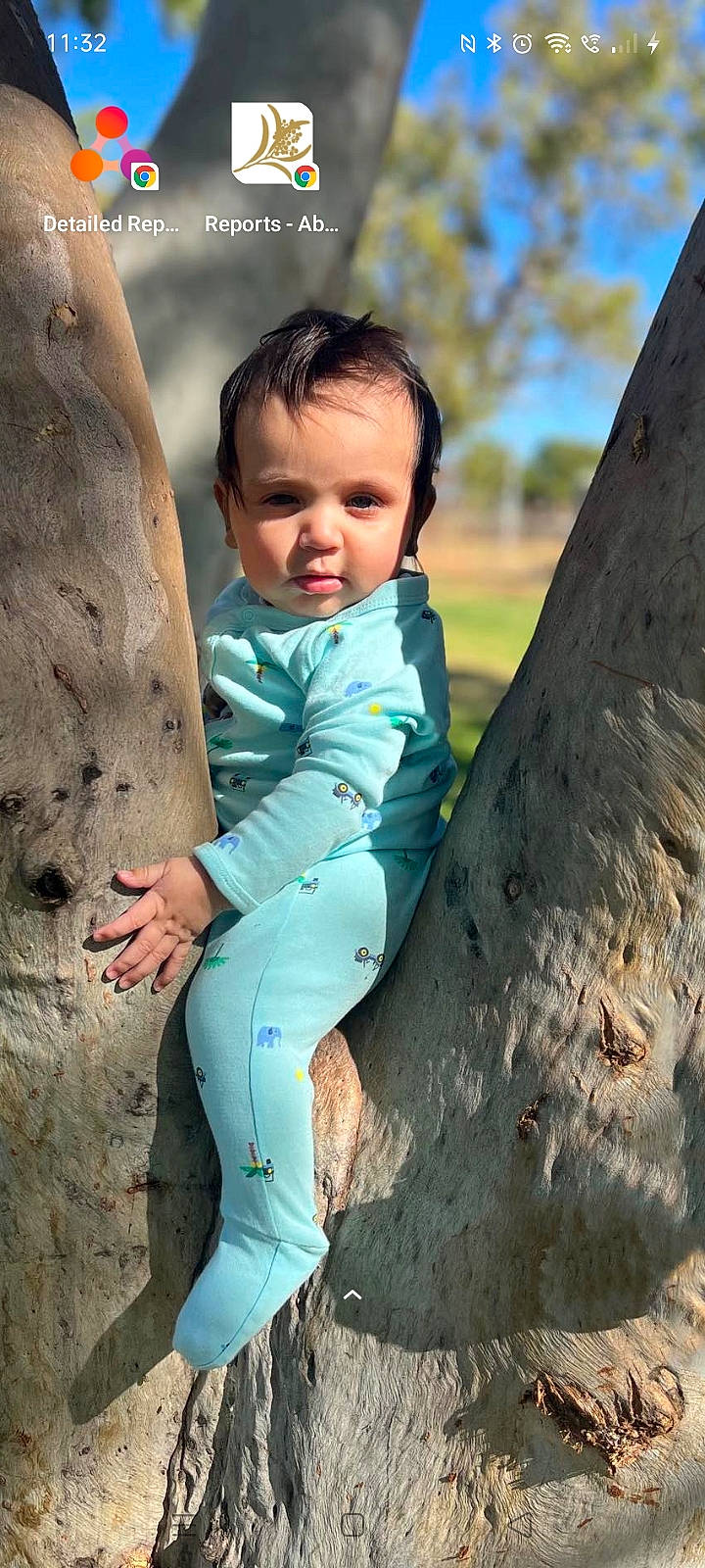 Achilles is registered to the contest to win money with this photo: arm, azure, blond, fun, grass, happy, human_body, leaf, leisure, natural_environment, people_in_nature, person, recreation, skin, standing, toddler, tree, trunk, wood, woody_plant