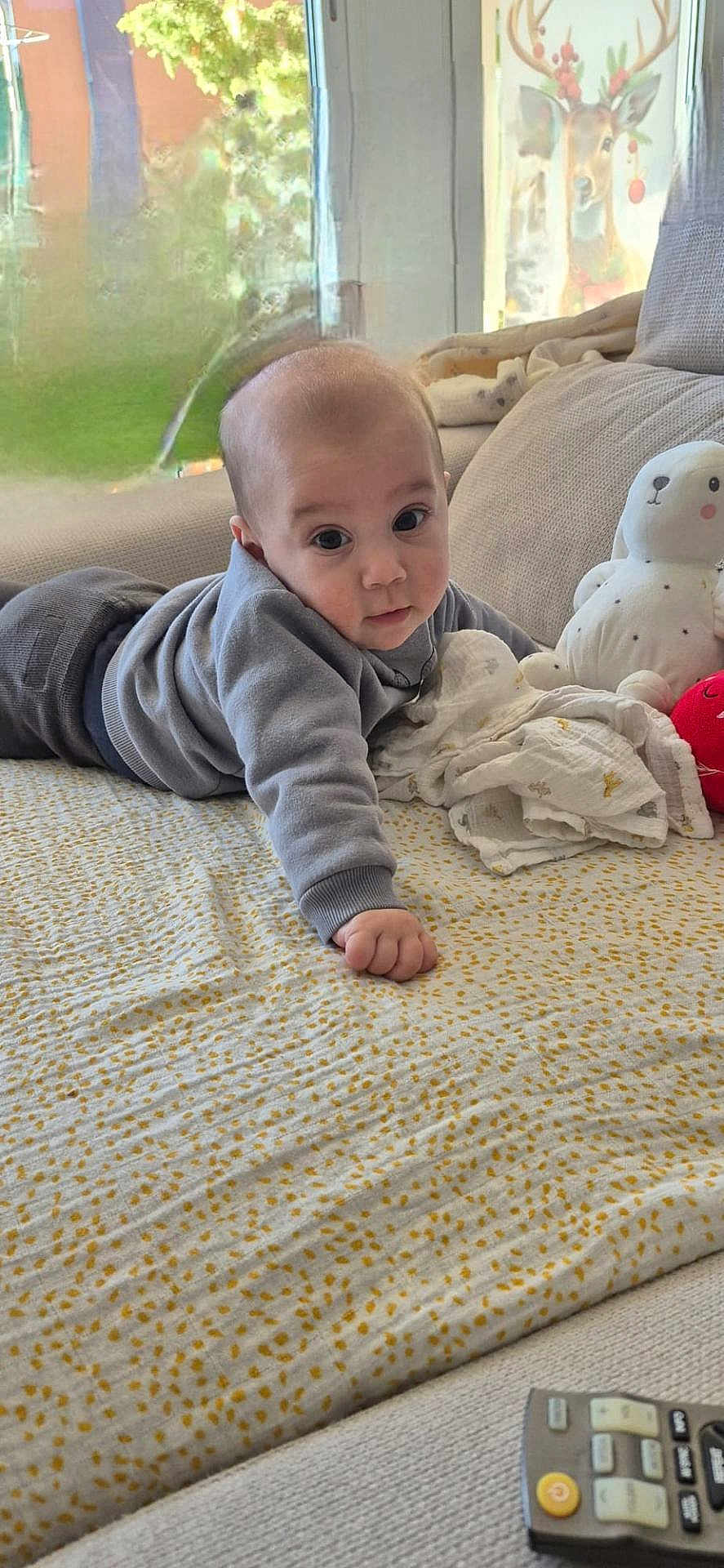 Sandro a rejoint le concours — aidez-le/la à gagner de superbes lots ! baby, infant, couch, blanket, toy, soft_toy, remote_control, indoor, child, face, clothing, sweater, curious, lying_down, home, window, decor, plush, furniture, person