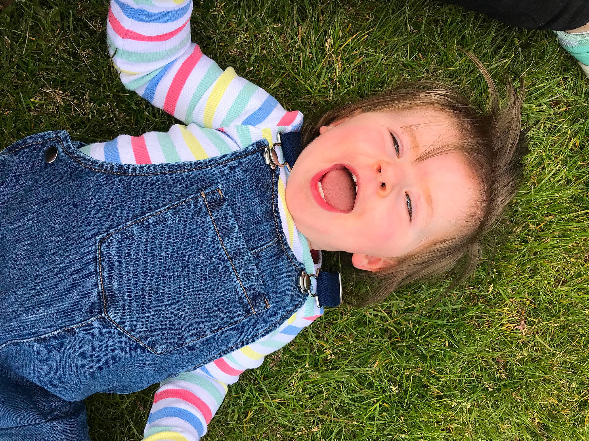 Edie is registered to the contest to win money with this photo: child, denim, grass, jeans, person, plant, smile, toddler