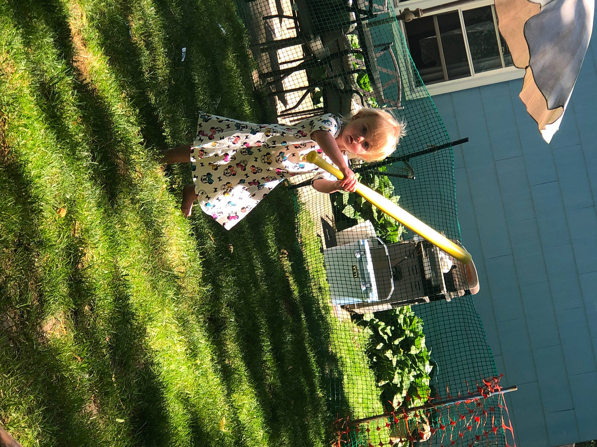 Kaydence is registered to the contest to win money with this photo: green, leaf, person, plant, shrub, tree