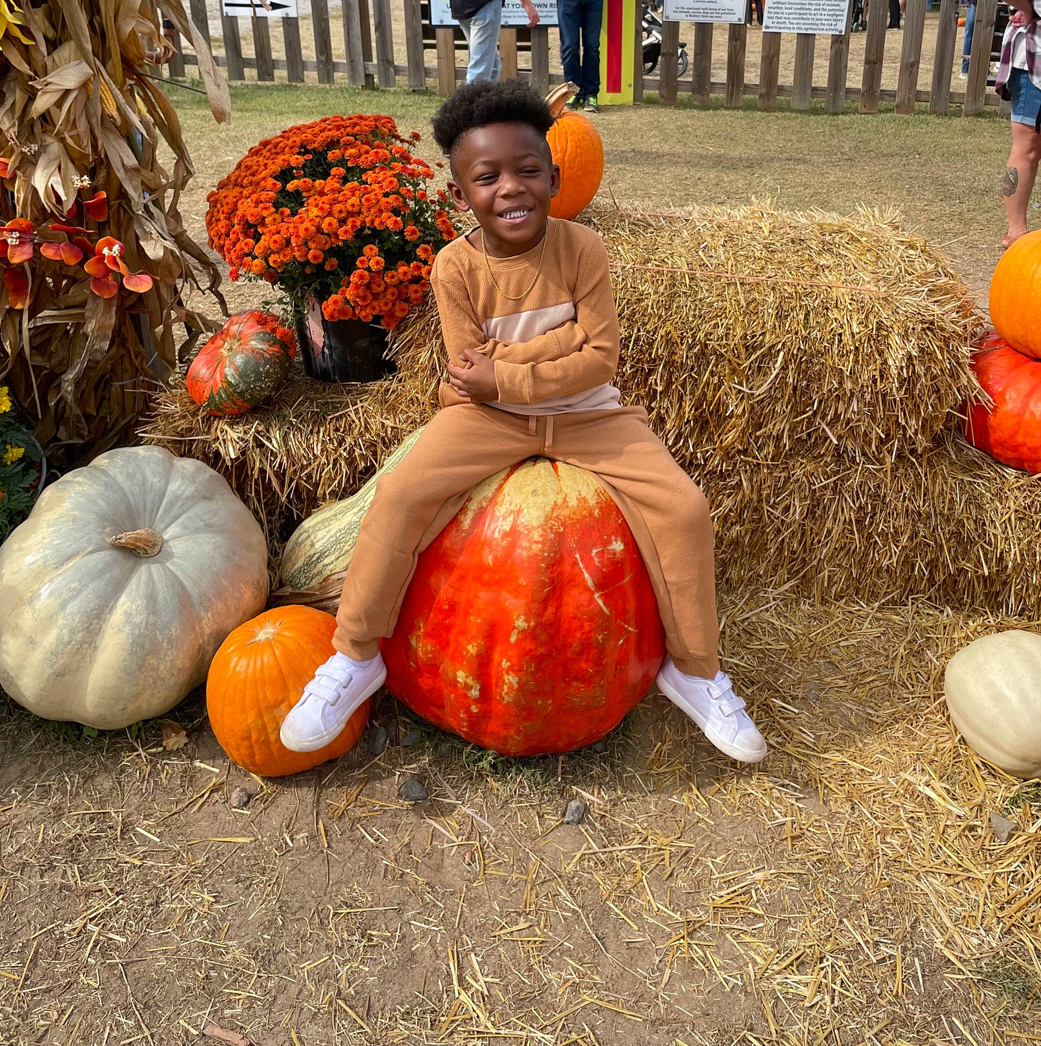 Jayce is registered to the contest to win money with this photo: _and_melon_family, _gourd, calabaza, cucumber, cucurbita, event, food, gourd, grass, joy, local_food, natural_foods, orange, person, plant, produce, pumpkin, smile, squash, tradition