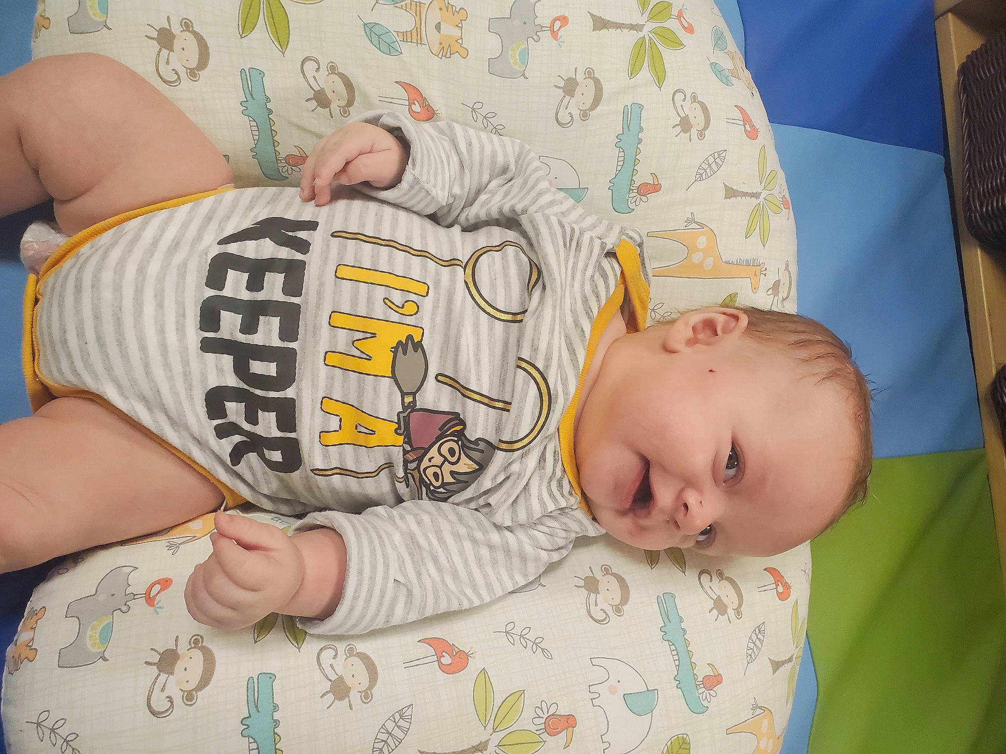 Gentry joined the competition — help win amazing prizes! arm, baby, baby_toddler_clothing, cheek, child, comfort, elbow, eye, facial_expression, finger, hairstyle, hand, human_body, joint, mouth, neck, person, skin, sleeve, thigh