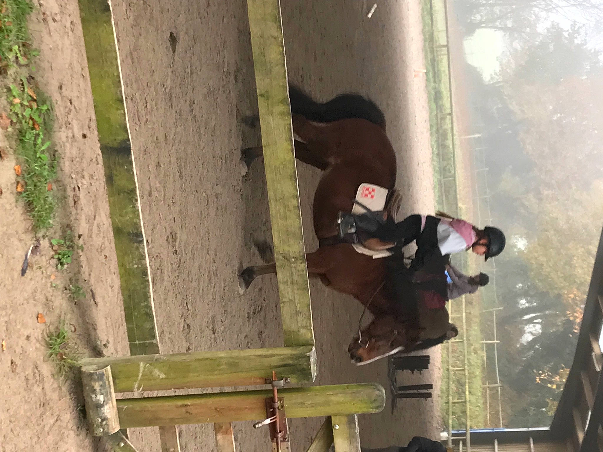 Lola participe au concours pour gagner de l'argent avec cette photo : adventure, concrete, fun, leisure, outdoor_shoe, person, recreation, reflection, shadow, tree, walking_shoe, window, wood