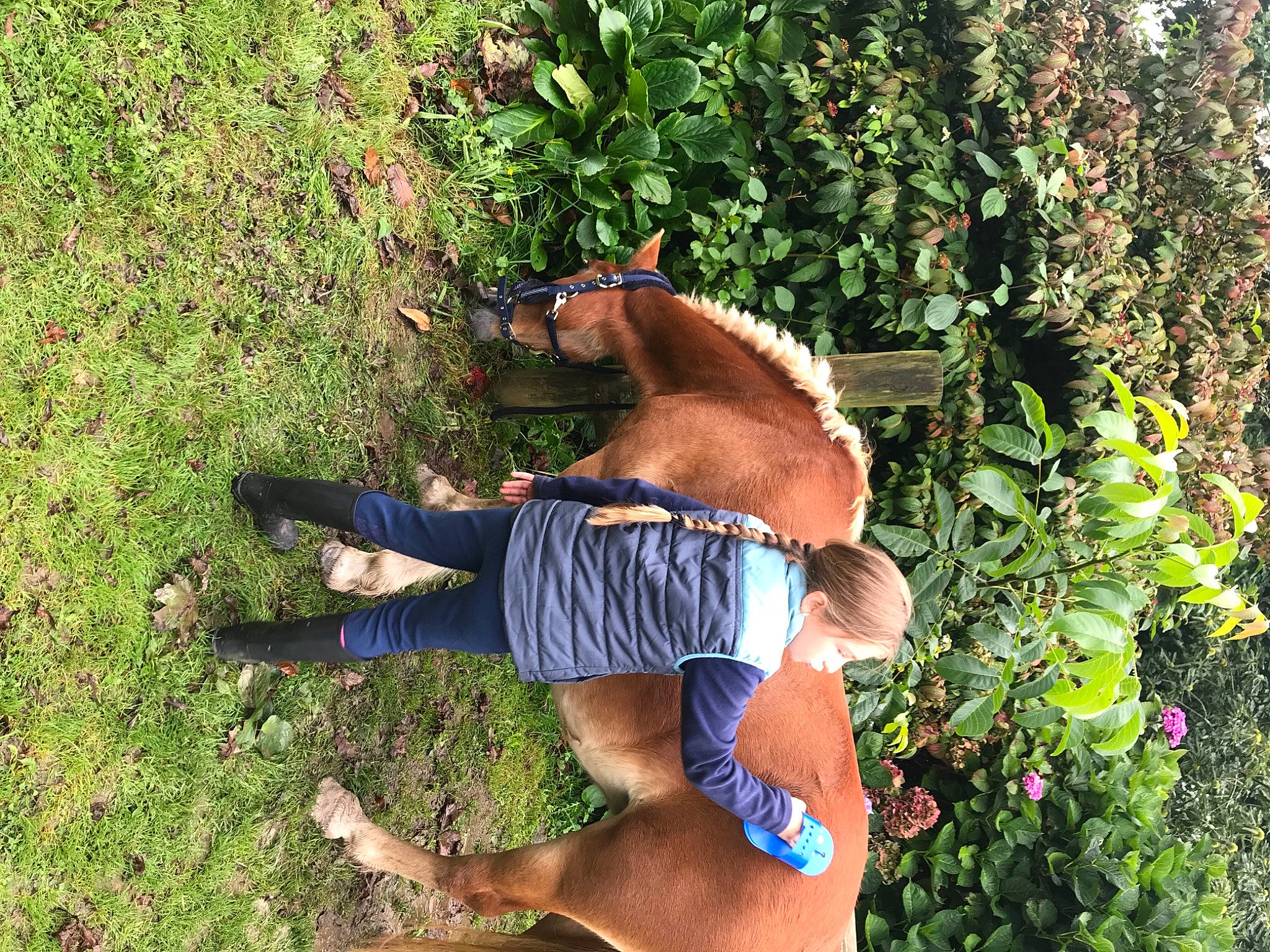 Lola a rejoint le concours — aidez-le/la à gagner de superbes lots ! annual_plant, carnivore, companion_dog, dog, dog_breed, fawn, grass, groundcover, hat, landscape, leisure, mammal, people_in_nature, person, plant, recreation, shorts, shrub, sunglasses, tree