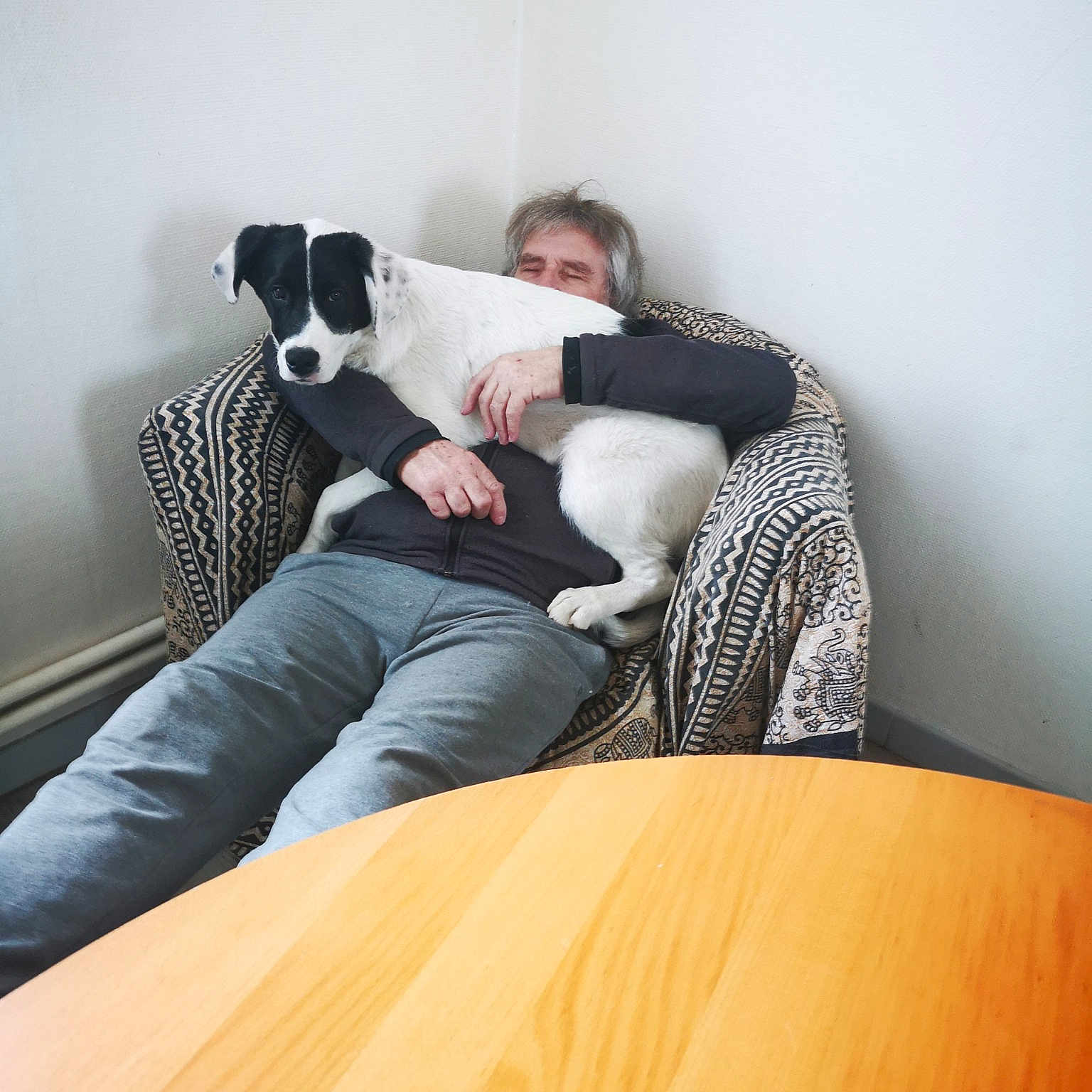 Tanguy participe au concours pour gagner de l'argent avec cette photo : carnivore, comfort, companion_dog, couch, dog, dog_breed, floor, flooring, hardwood, human_leg, jeans, knee, leg, room, sitting, t_shirt, table, thigh, wood, wood_flooring