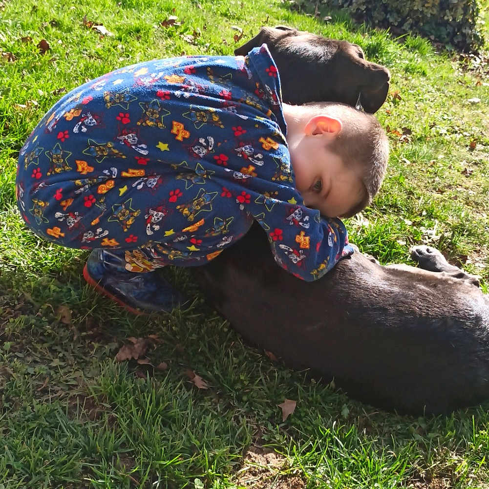Gordon a rejoint le concours — aidez-le/la à gagner de superbes lots ! child, fun, garden, grass, grass_family, grassland, groundcover, landscape, leisure, pattern, people_in_nature, plant, recreation, shrub, sitting, soil, t_shirt, toddler, tree, yard