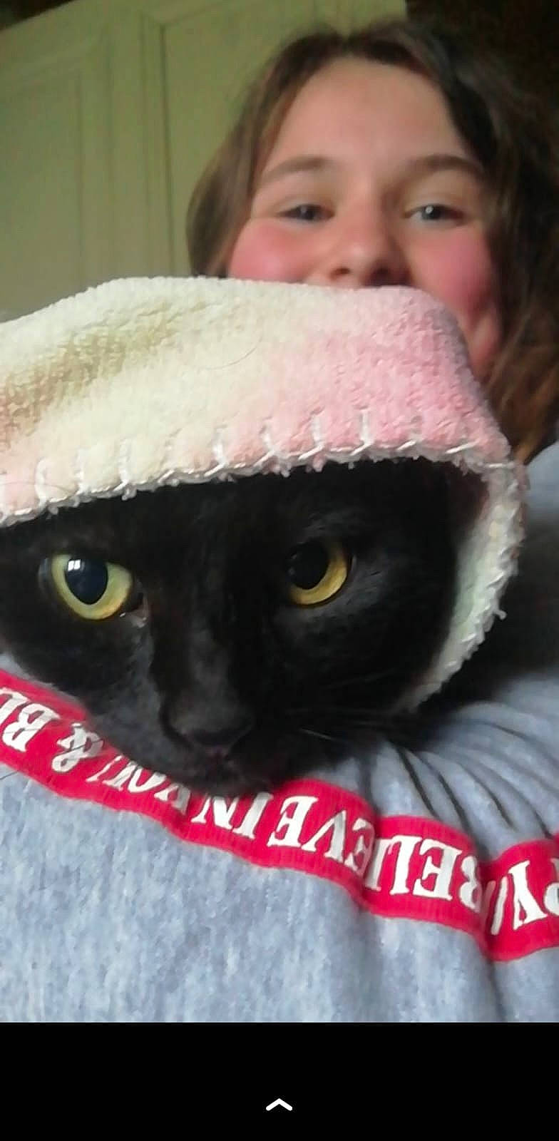 Flocon participe au concours pour gagner de l'argent avec cette photo : cap, carnivore, cat, close_up, eyelash, felidae, fur, magenta, moustache, nail, nose, organ, plush, small_to_medium_sized_cats, snout, stuffed_toy, toy, whiskers, white, wool