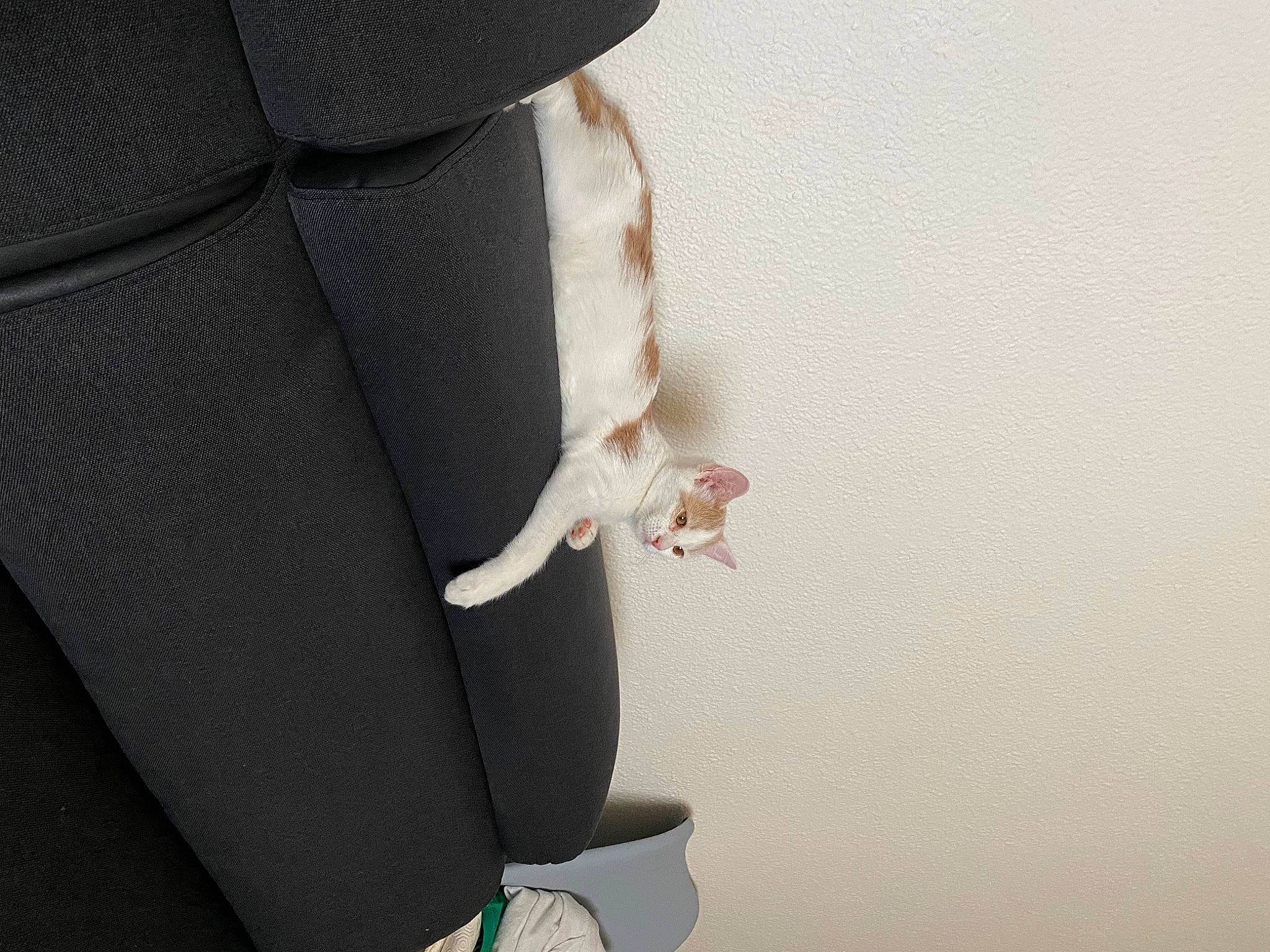 Athèna a rejoint le concours — aidez-le/la à gagner de superbes lots ! blazer, button, carmine, chair, comfort, elbow, fashion_accessory, fashion_design, flooring, formal_wear, human_leg, knee, leather, linens, nail, peach, sitting, sleeve, thigh, waist