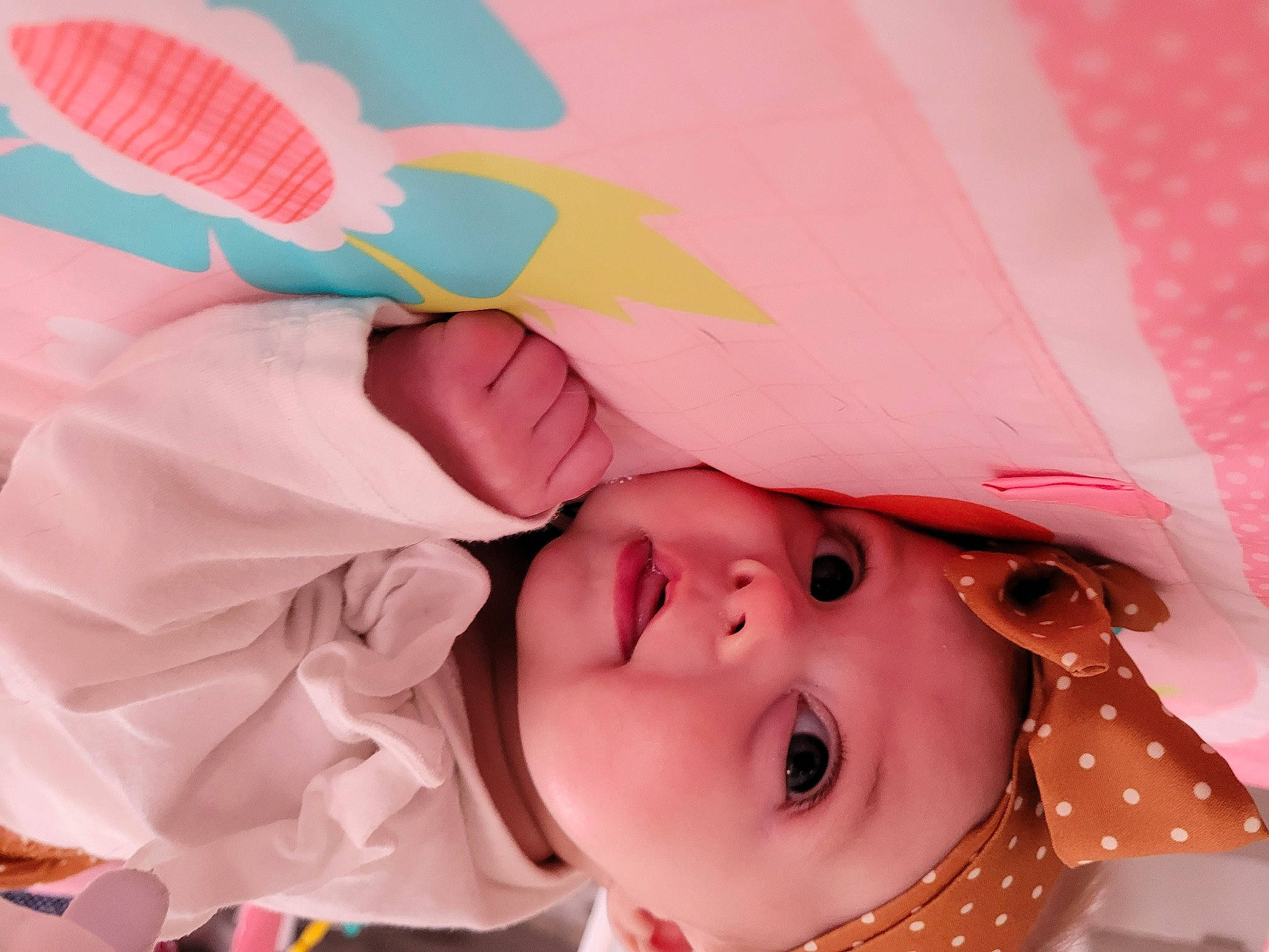 Emmalynn is registered to the contest to win money with this photo: baby, baby_toddler_clothing, beauty, child, eyelash, happy, headwear, lip, magenta, mechanical_fan, orange, people, person, petal, photograph, pink, product, skin, snapshot, textile