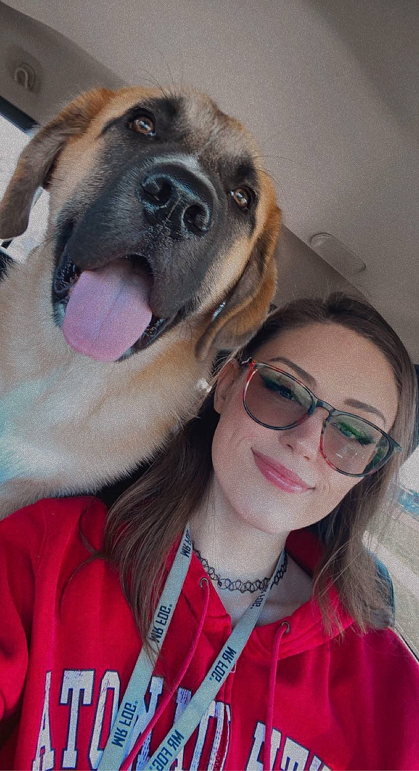 Athena is registered to the contest to win money with this photo: canidae, carnivore, collar, companion_dog, dog, dog_breed, eyewear, fawn, glasses, goggles, happy, jaw, selfie, smile, snout, sporting_group, sunglasses, vision_care, whiskers, working_animal