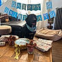Django a rejoint le concours — aidez-le/la à gagner de superbes lots ! dog, birthday, cake, presents, balloons, banner, living_room, wooden_floor, couch, dog_bed, bandana, table, gift_wrap, decorations, celebration, pet, indoor, smiling_dog, party, home