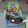 animal, bell_collar, blue_frame, cat, concrete_floor, decorative_houses, green_armrest, kids_chair, lounge, outdoor, paw_patrol, pet, pineapple_decor, relaxed, small_chair, soil, striped_fur, summer, tabby_cat, white_paws
