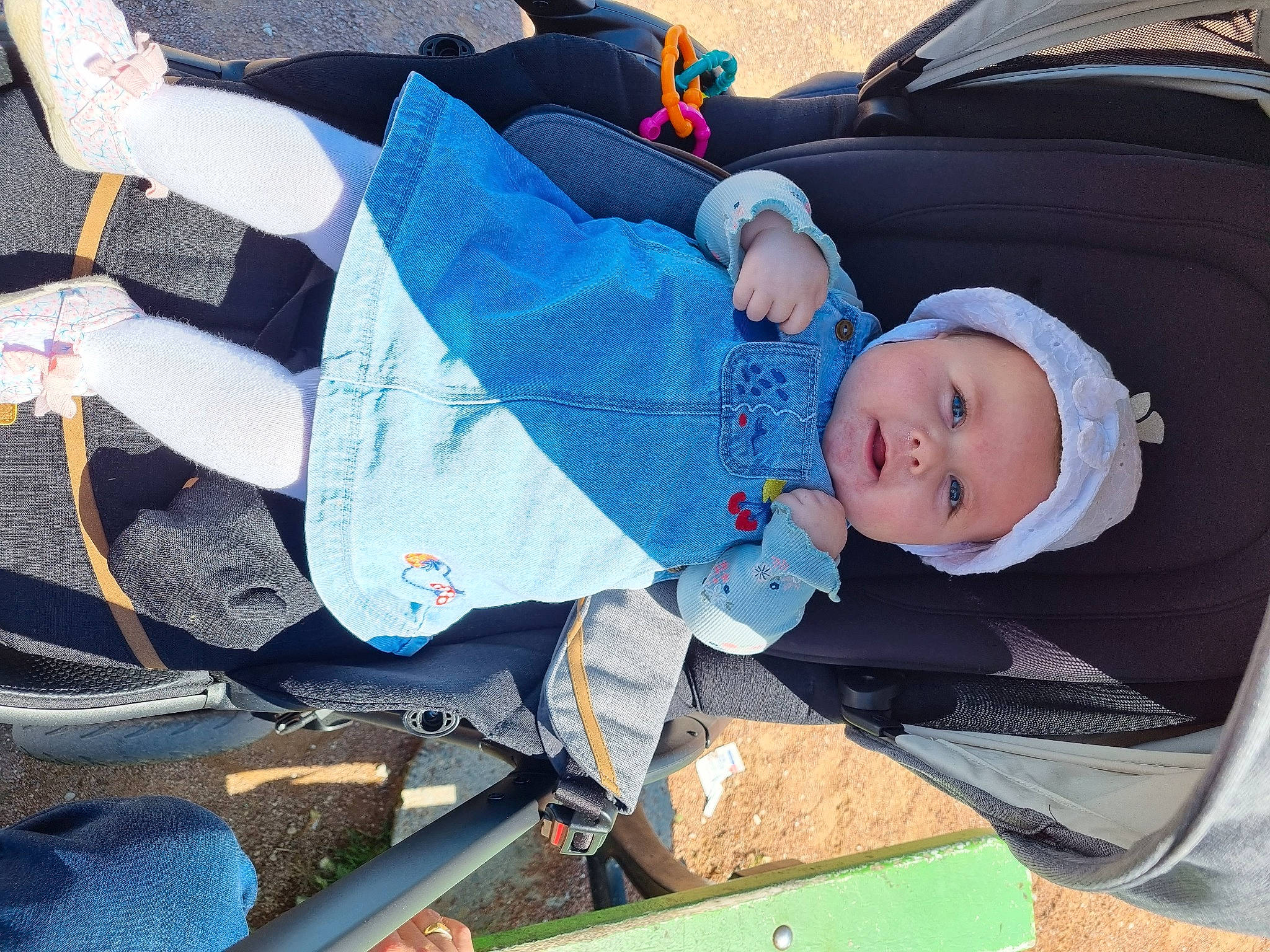 Charlie a rejoint le concours — aidez-le/la à gagner de superbes lots ! baby, baby_carriage, baby_products, baby_toddler_clothing, child, comfort, electric_blue, fun, hat, headwear, lap, person, recreation, sitting, smile, snapshot, toddler, tree, vacation, winter