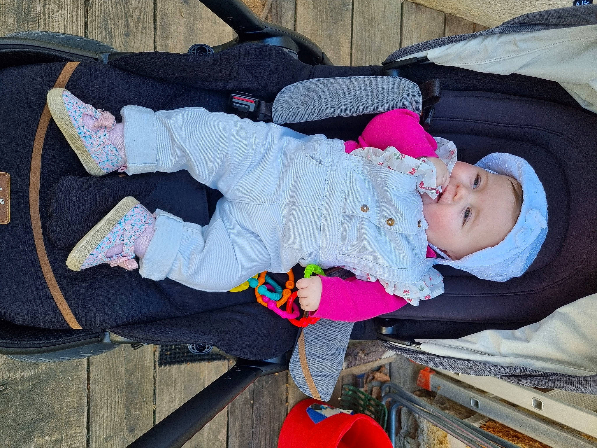 Charlie a rejoint le concours — aidez-le/la à gagner de superbes lots ! baby, baby_carriage, baby_products, baby_toddler_clothing, child, comfort, fun, headwear, lap, person, sitting, smile, tire, toddler, tree, wheel