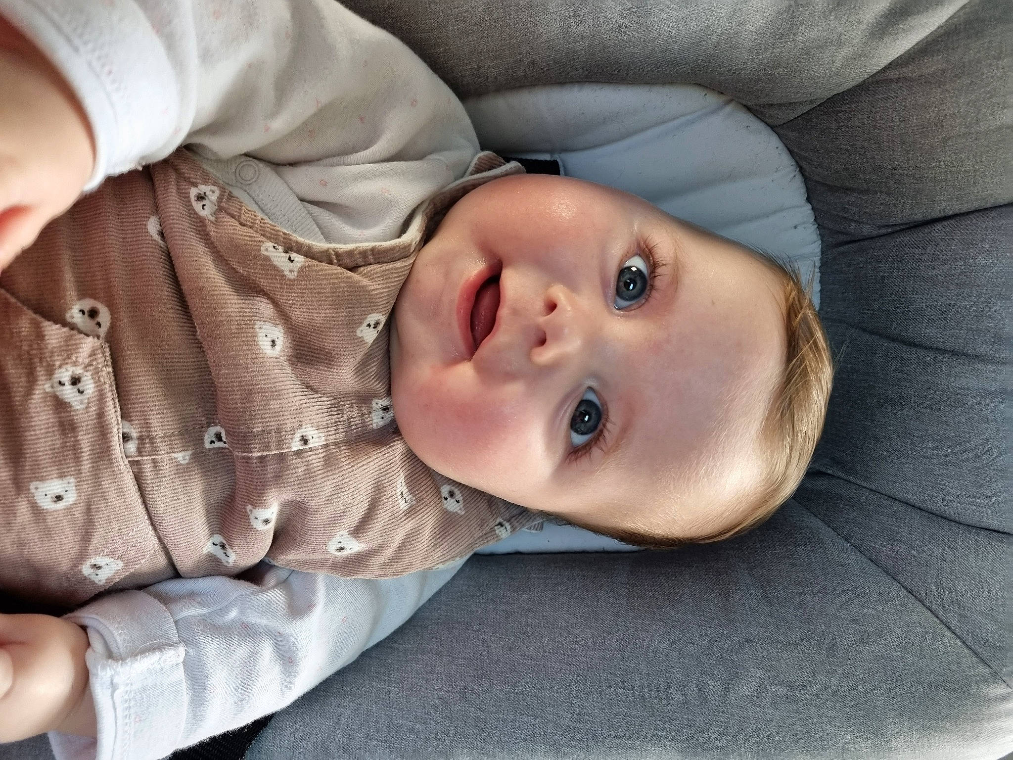 Charlie a rejoint le concours — aidez-le/la à gagner de superbes lots ! baby, baby_toddler_clothing, cheek, child, collar, comfort, dress_shirt, eye, eyelash, fur, hat, iris, lip, mouth, nose, person, portrait_photography, sleeve, smile, toddler