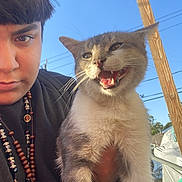 Smokey is registered to the contest to win money with this photo: animal, beaded_necklace, cat, close_up, cute, daylight, expression, feline, gray_cat, happy, holding, nature, outdoor, person, pet, portrait, short_hair, sky, white_cat, wooden_pole