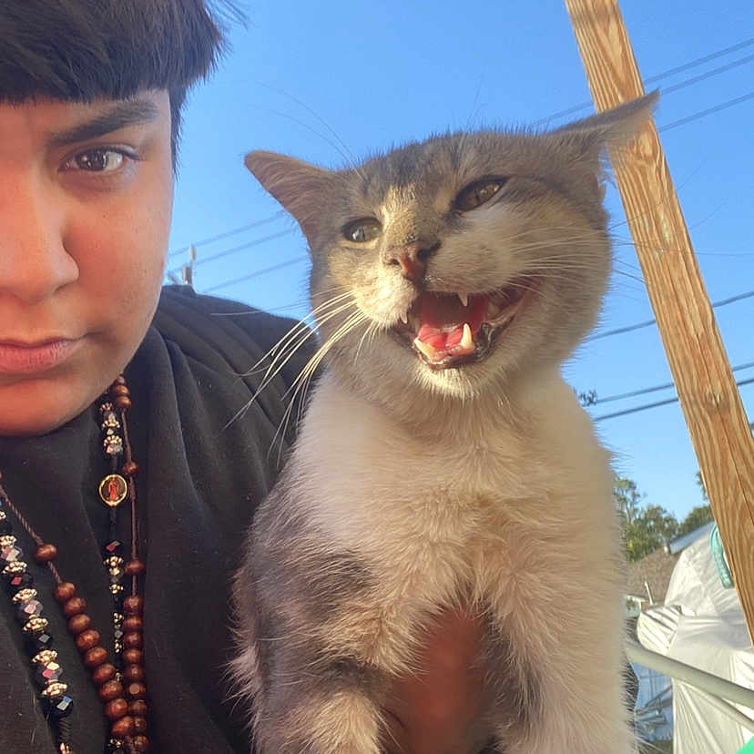 Smokey is registered to the contest to win money with this photo: animal, beaded_necklace, cat, close_up, cute, daylight, expression, feline, gray_cat, happy, holding, nature, outdoor, person, pet, portrait, short_hair, sky, white_cat, wooden_pole