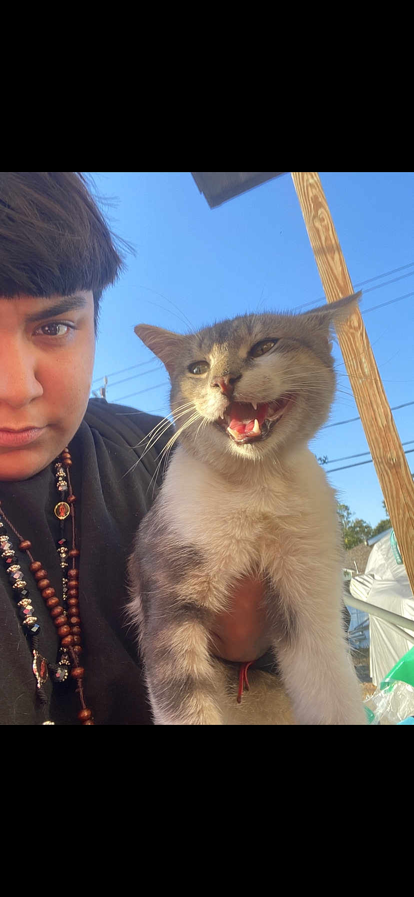 Smokey is registered to the contest to win money with this photo: animal, beaded_necklace, cat, close_up, cute, daylight, expression, feline, gray_cat, happy, holding, nature, outdoor, person, pet, portrait, short_hair, sky, white_cat, wooden_pole