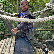 Ayden participe au concours pour gagner de l'argent avec cette photo : child, boy, outdoor, playground, rope, wood, jackets, sneakers, greenery, trees, curious, adventure, nature, fence, clothing, daylight, exploration, young, person, fun