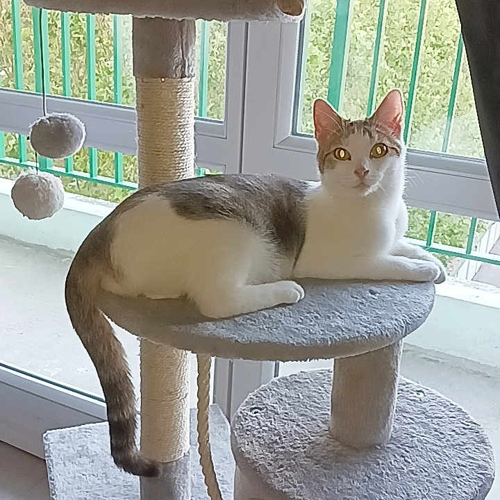 Ragnar Et Loki