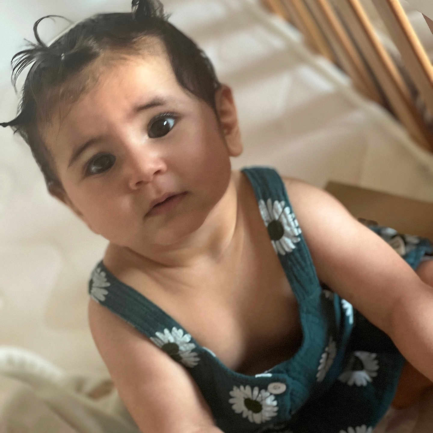 Lilyane participe au concours pour gagner de l'argent avec cette photo : baby, child, clothing, curious, cute, daisy, expression, eyes, face, hair, indoors, infant, pattern, person, portrait, sitting, skin, soft_light, wooden_rail, young