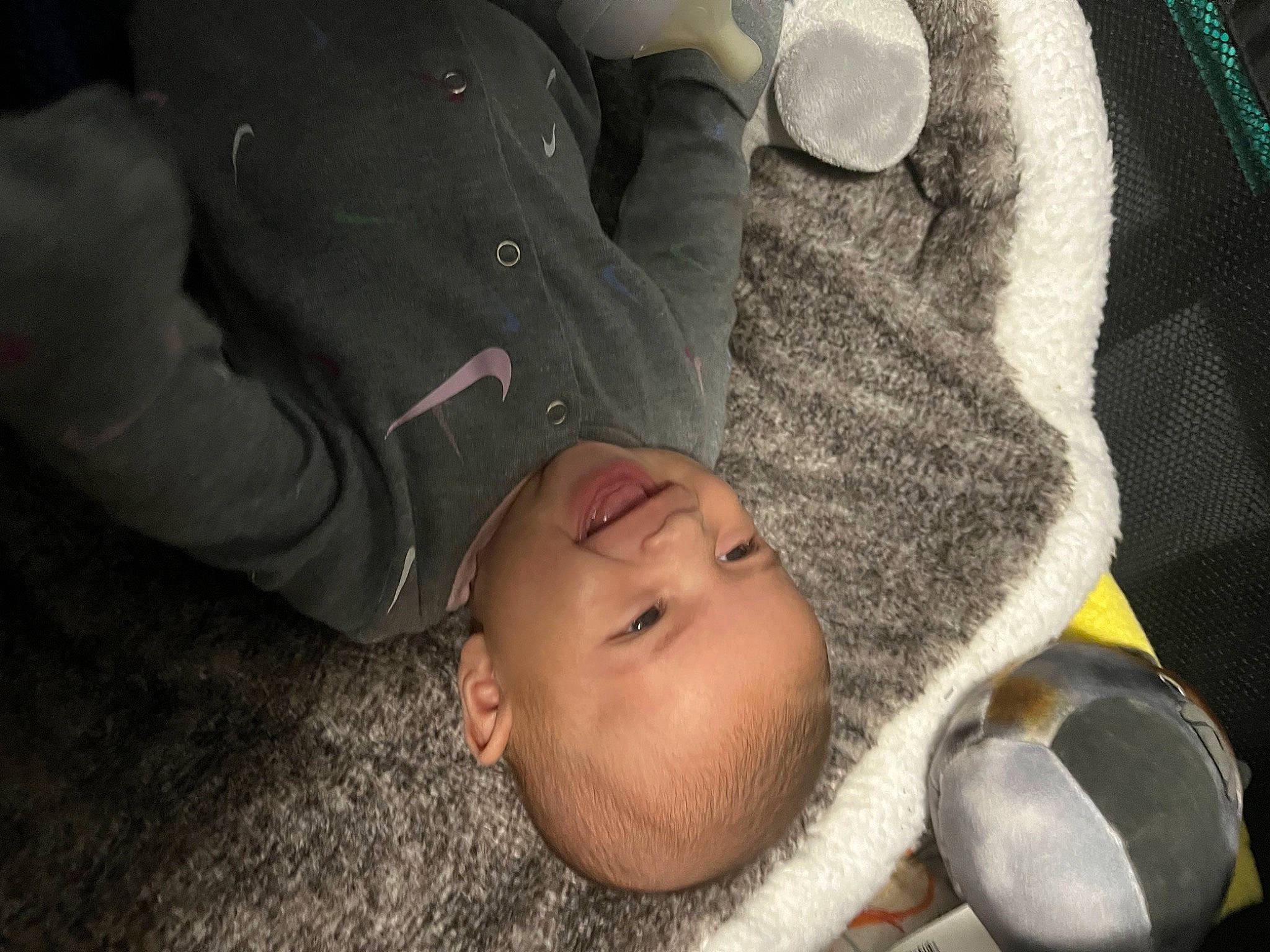 Everleigh is registered to the contest to win money with this photo: baby, baby_products, baby_toddler_clothing, cheek, child, comfort, fun, fur, gesture, grey, happy, joy, mouth, nose, outerwear, person, sitting, sleep, toddler, tree