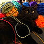 Dennis is registered to the contest to win money with this photo: cat, black_cat, yarn, colorful, skeins, couch, indoor, pet, playful, fur, wide_eyes, relaxed, string, crafts, cozy, home, animal, feline, soft, knitting