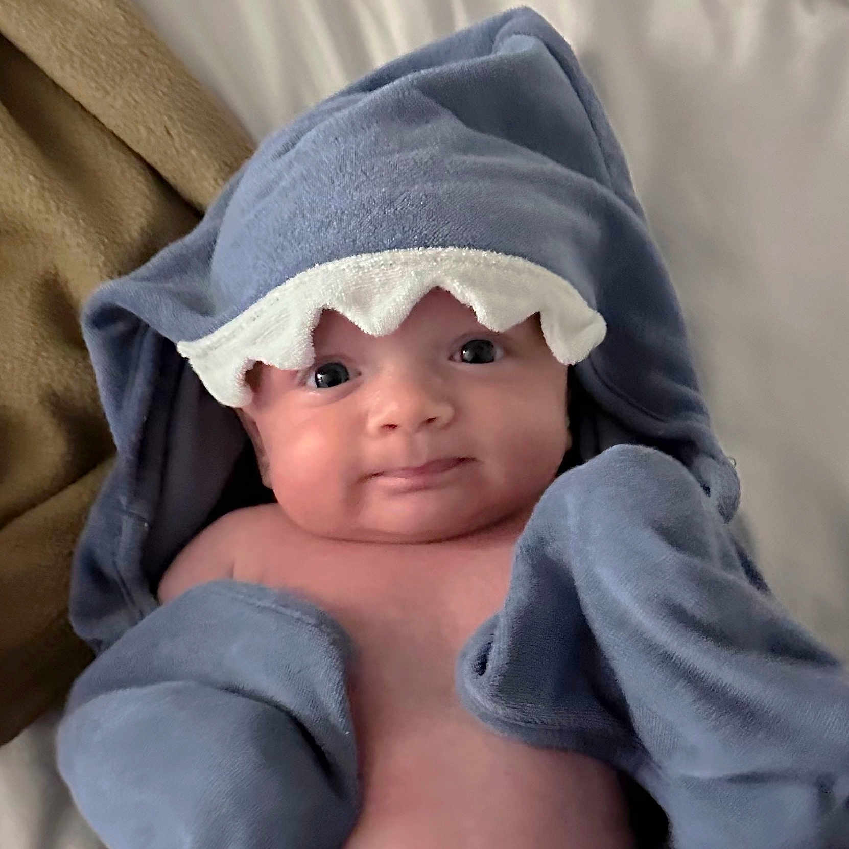 Heath joined the competition — help win amazing prizes! baby, blanket, clothing, face, head, hood, person, photography, portrait, towel