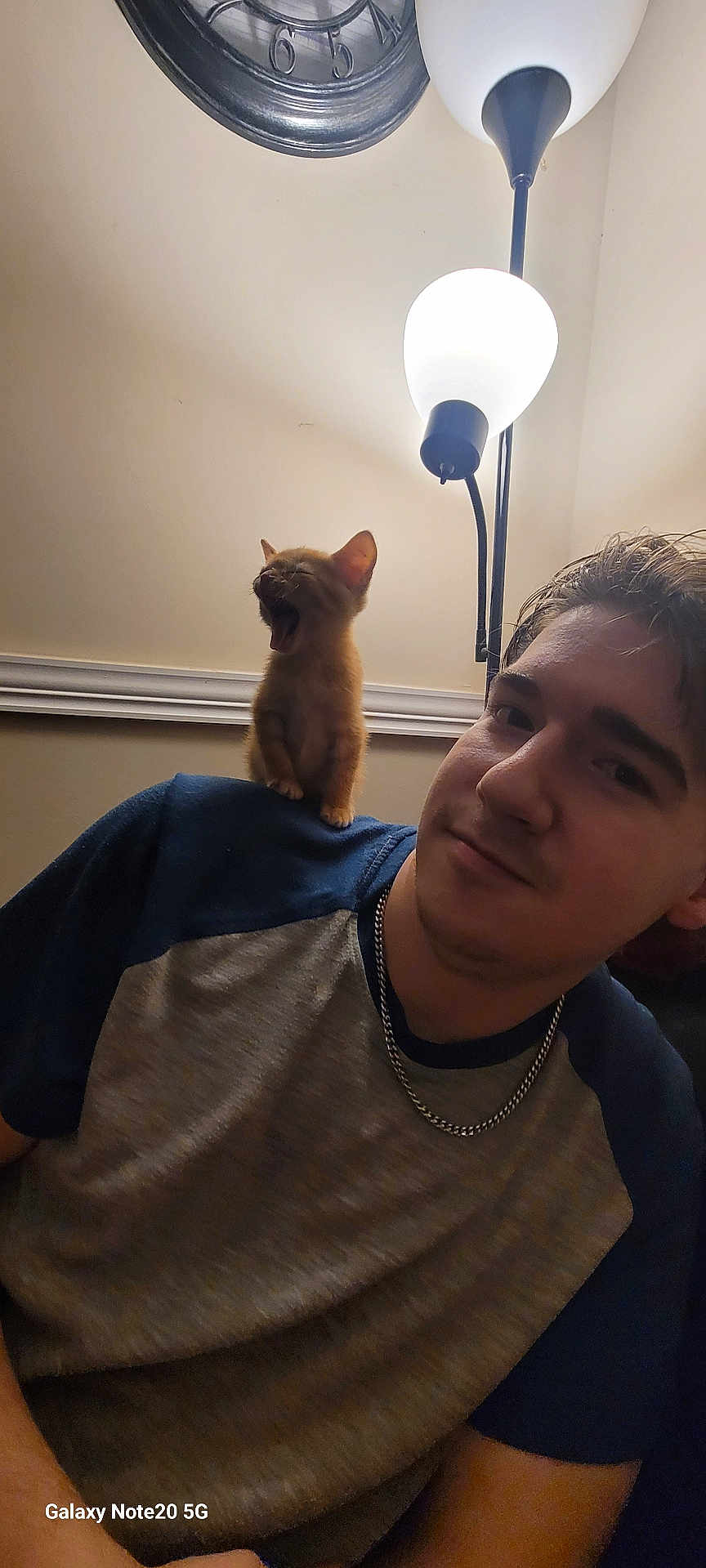 Luke joined the competition — help win amazing prizes! man, kitten, cat, shoulder, yawning, lamp, clock, chain_necklace, casual_clothing, indoor, wall, smile, young_adult, short_hair, furniture, light, cozy, portrait, home, sitting