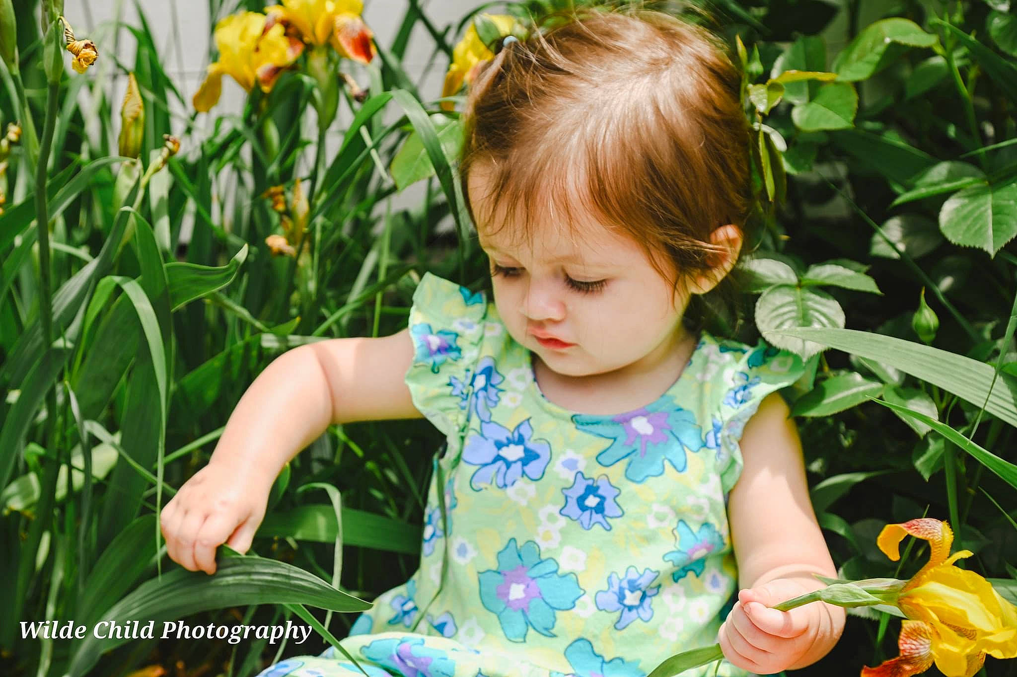 Bliss joined the competition — help win amazing prizes! baby_toddler_clothing, botany, eye, facial_expression, flower, grass, green, happy, iris, leaf, nature, organ, people_in_nature, person, petal, photograph, plant, summer, terrestrial_plant, toddler