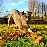 Inna participe au concours pour gagner de l'argent avec cette photo :