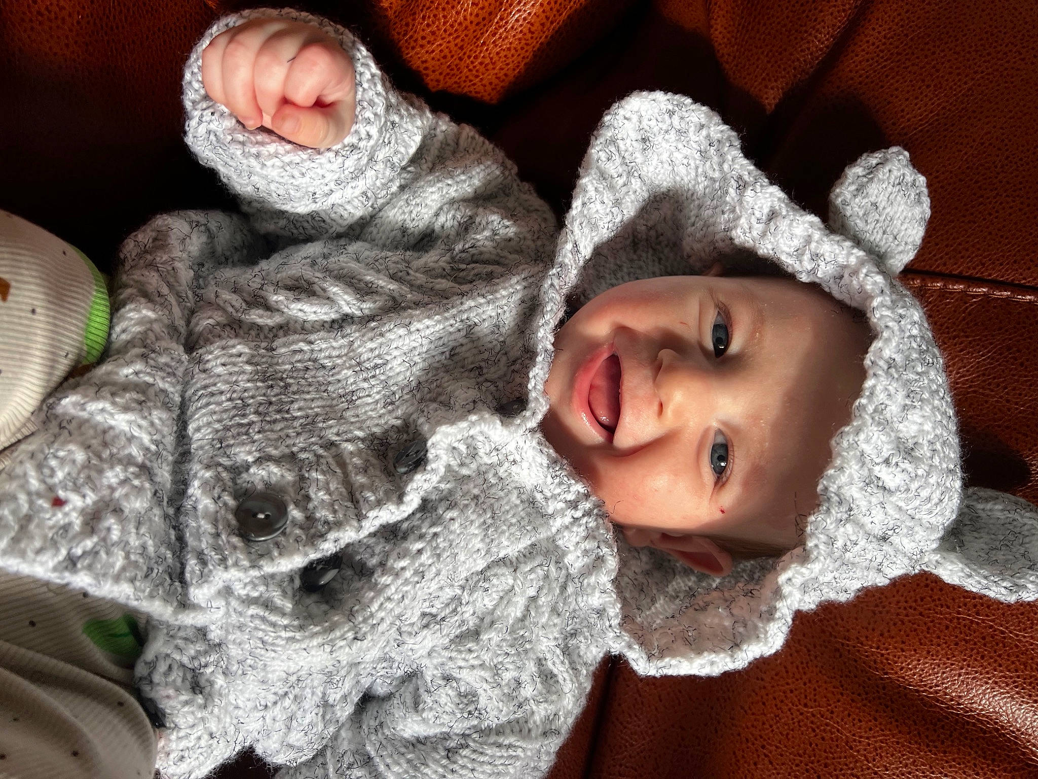 Brody joined the competition — help win amazing prizes! baby, cheek, child, comfort, eyelash, facial_expression, freezing, fur, happy, head, headgear, headwear, human_body, lip, mammal, mouth, nose, person, skin, tree