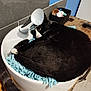 cat, black_and_white_cat, sink, blue_cloth, wooden_surface, toiletries, indoor, pet, sleepy, cozy, curled_up, resting, fur, animal, domestic, cute, relaxed, bathroom, household, comfort