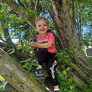 Greyson is registered to the contest to win money with this photo: child, boy, tree, leaves, outdoor, nature, smiling, stick, clothing, sneakers, greenery, sunlight, casual, happy, pants, shirt, playful, park, daylight, exploration