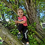child, boy, tree, leaves, outdoor, nature, smiling, stick, clothing, sneakers, greenery, sunlight, casual, happy, pants, shirt, playful, park, daylight, exploration