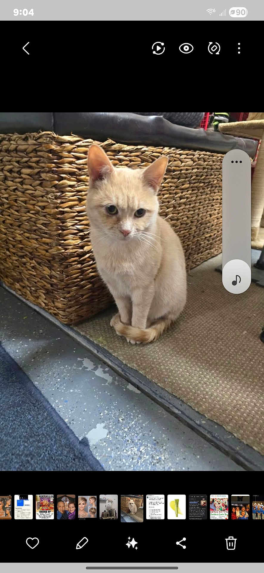 Nacho Cheddar Cheese is registered to the contest to win money with this photo: cat, orange_cat, pet, indoor, carpet, woven_basket, fur, tail, flooring, furniture, curious, sitting, animal, domestic_cat, cute, whiskers, ears, paws, home, cozy