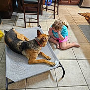 Mika joined the competition — help win amazing prizes! barefoot, brown_hair, cabinet, casual_clothing, child, dog, dog_bed, furniture, german_shepherd, girl, indoor, interaction, kitchen, pet, playing, refrigerator, shorts, tile_floor, tshirt, wooden_chair